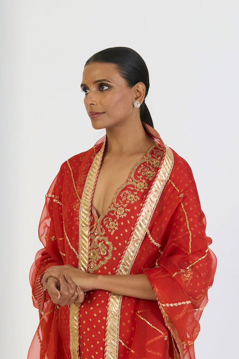 Pragya Dupatta - Rust
