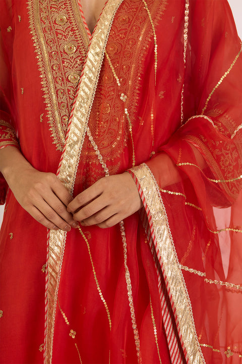Pragya Dupatta - Rust