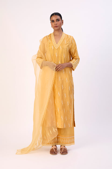 Varda Kurta and Pant