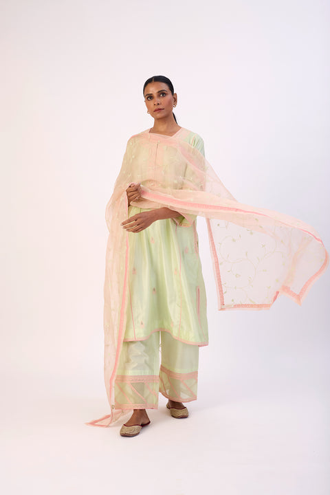 Miraya Kurta and Pant