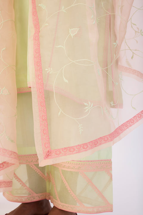 Raima Dupatta