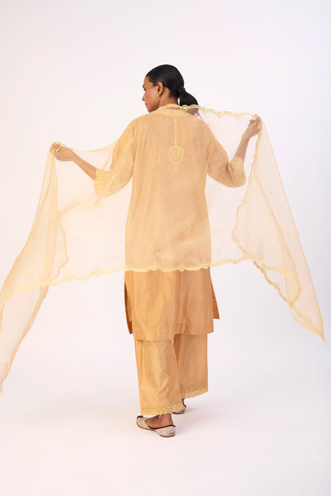 Kashni Dupatta