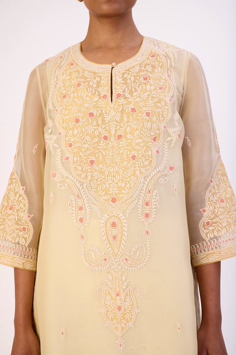 Cicilia Kurta and Pant