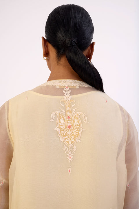 Cicilia Kurta and Pant