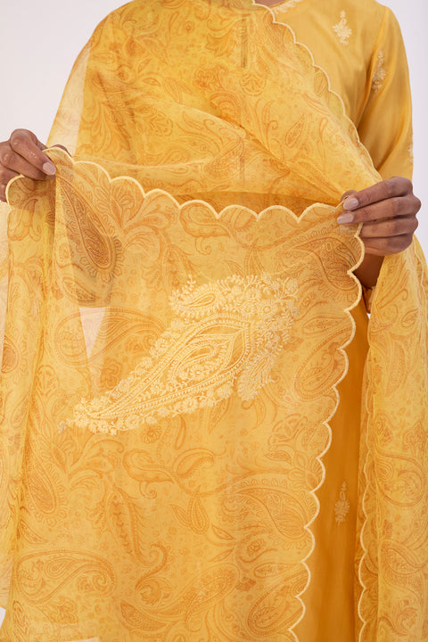 Raahi Dupatta