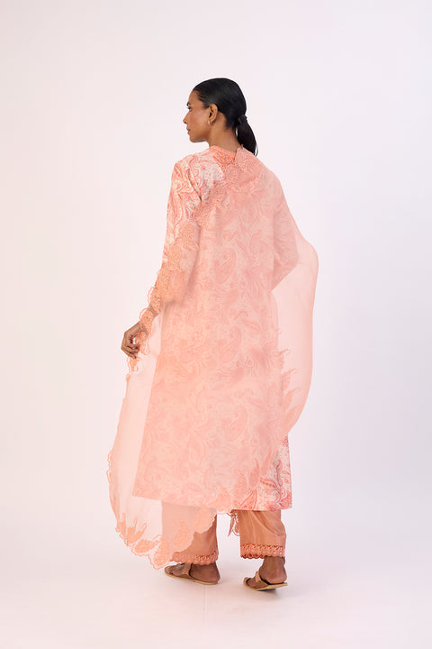 Aavya Dupatta