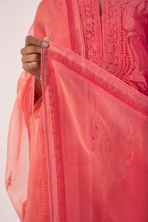 Niyati Dupatta