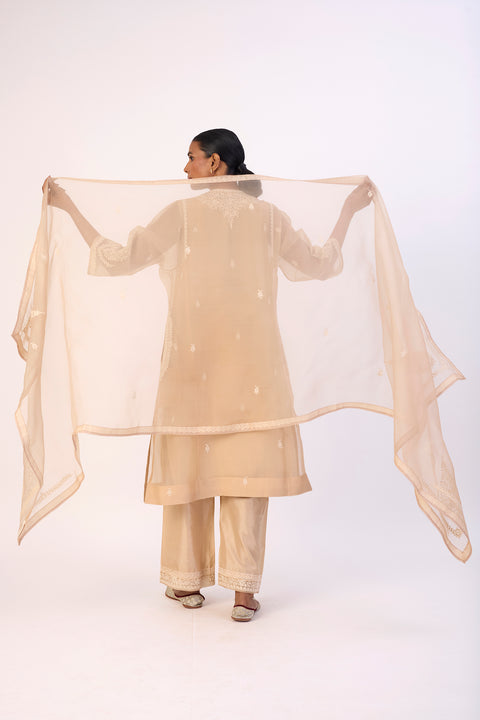 Nehal Dupatta