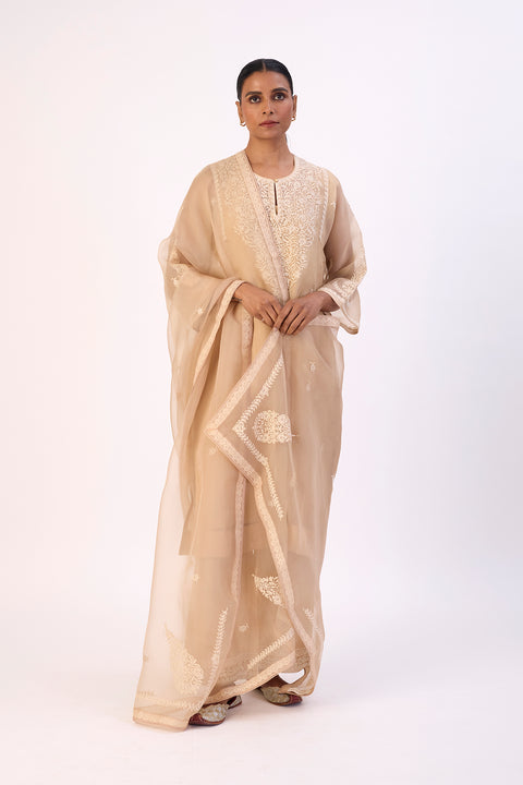 Zivra Kurta and Pant