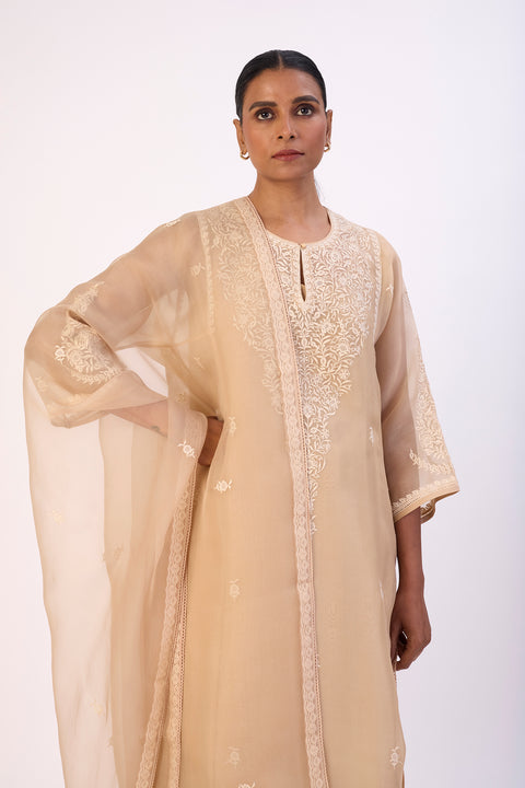 Nehal Dupatta