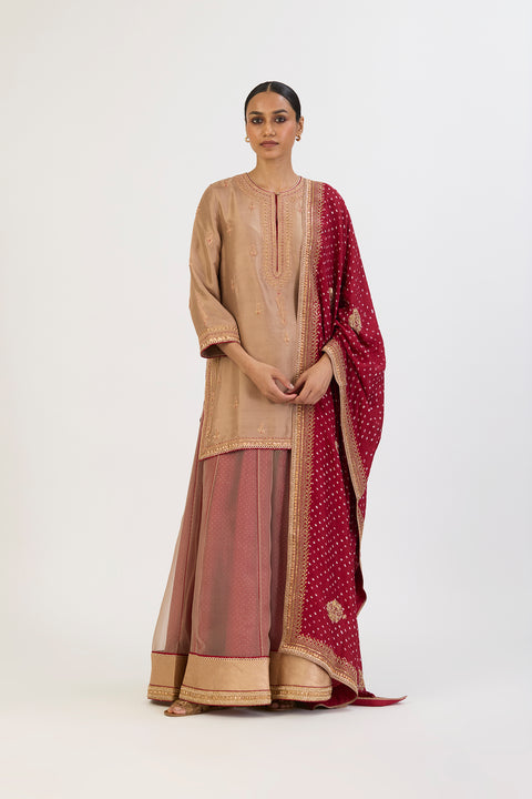 Ranjana Kurta and Sharara - Beige