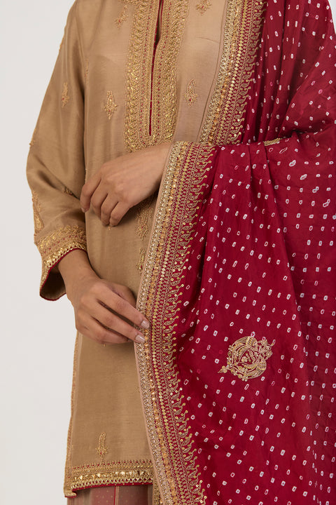 Sharavi Bandhani Dupatta - Red