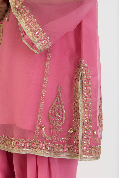 Maitreyi Kurta and Pant - Pink