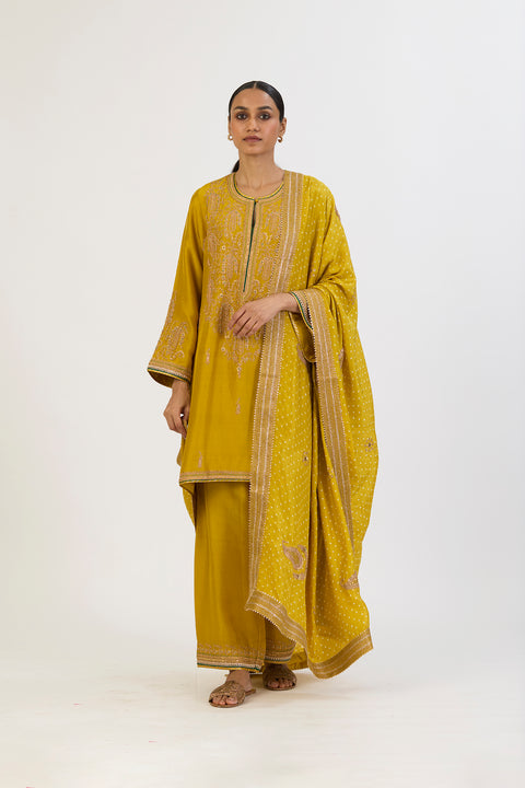 Ishani Kurta and Pant - Lime Green