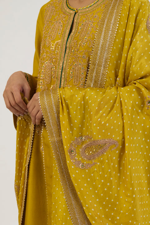 Jashvi Bandhani Dupatta - Lime Green