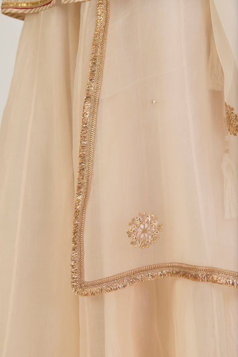 Virasat Dupatta - Oats