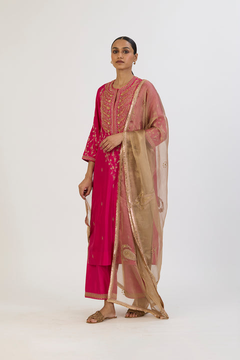 Aditi Dupatta - Gold